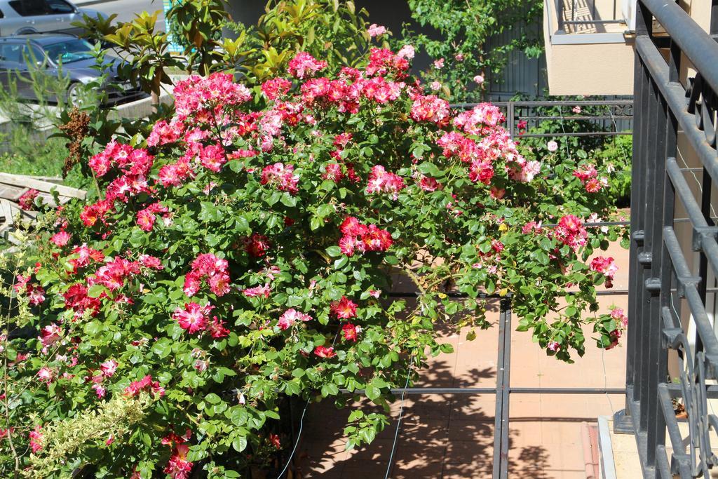 Flowers Apartments Nesebar Ngoại thất bức ảnh